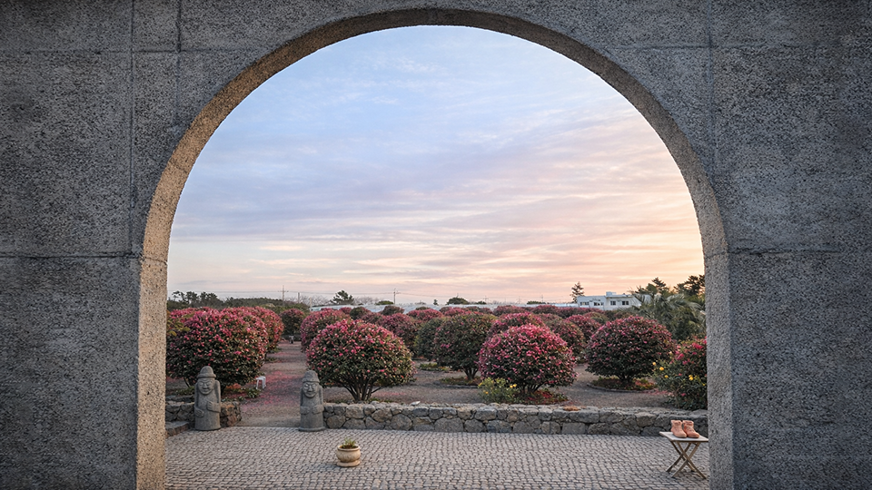 제주 삼달리 꽃밭 전경 사진