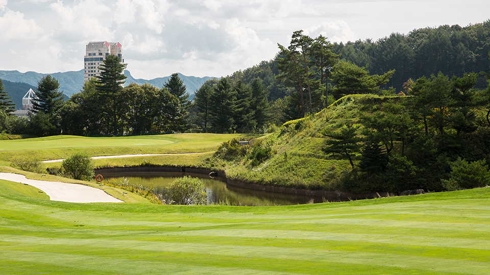 태기산 C.C. 전경 사진