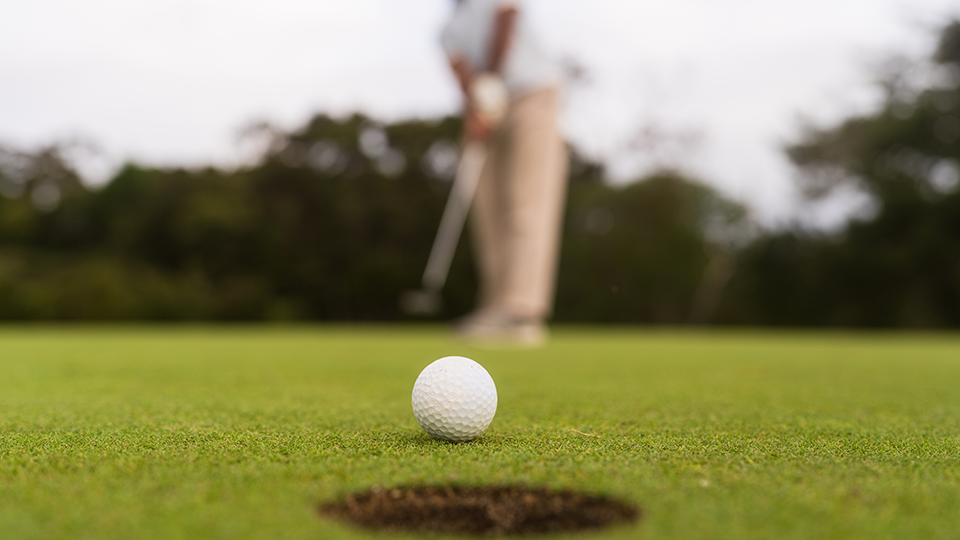 태기산 C.C. 전경 사진