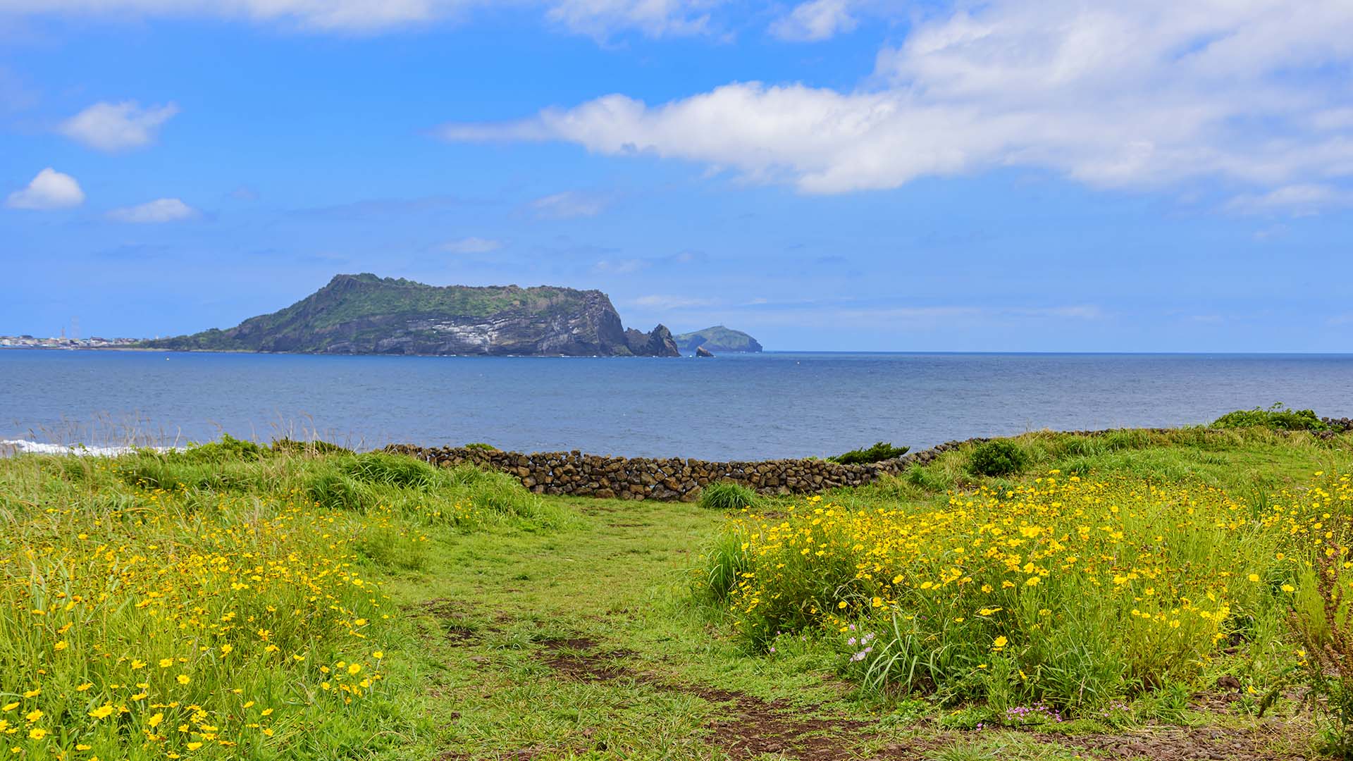 휘닉스 아일랜드 전경 사진