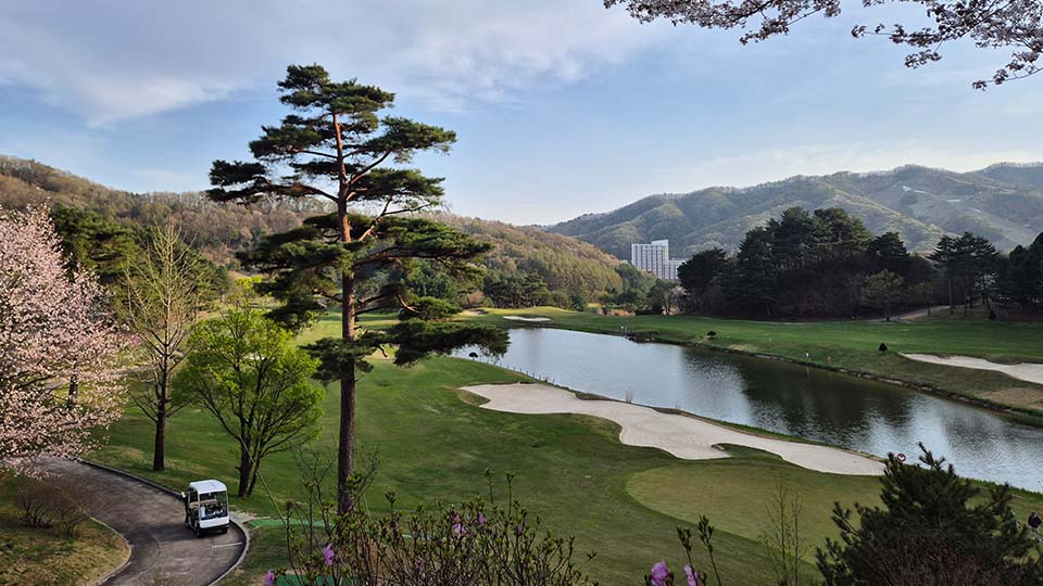 휘닉스 파크 휘닉스 CC 사진