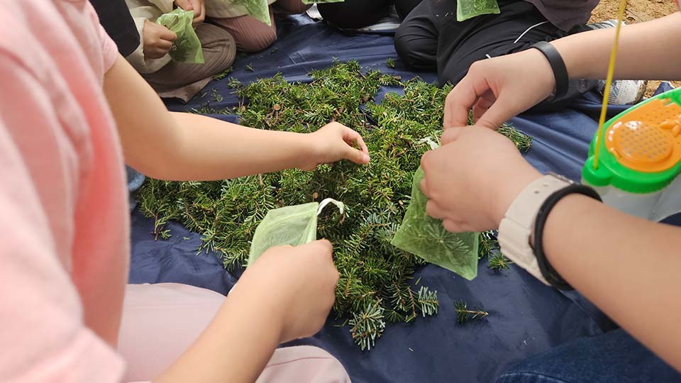 휘닉스 파크 어린이날 이벤트 키즈 생태 체험 사진